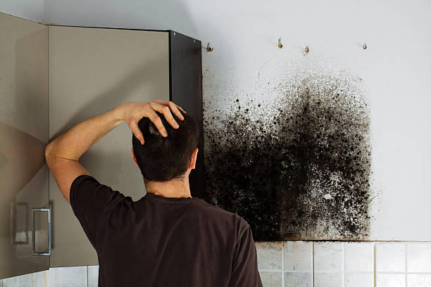 Best Commercial Mold Remediation in Lake Wazeecha, WI